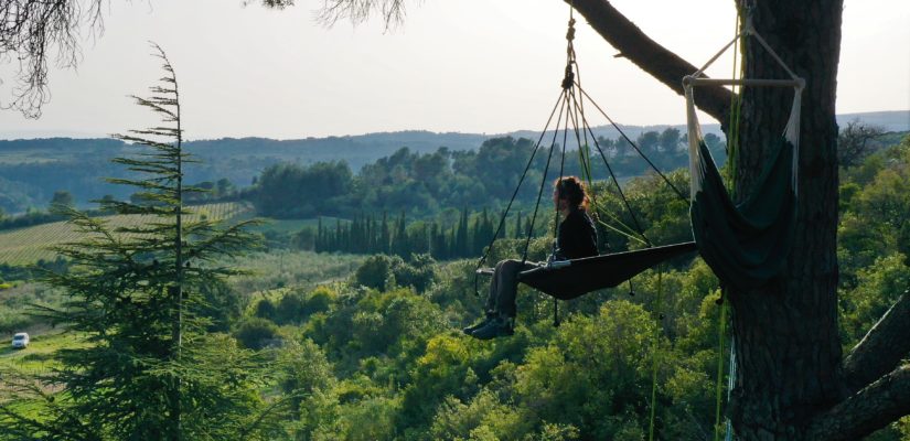 bivouac dans les arbres avec l'Arbre Nomade