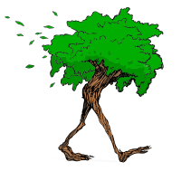 L’arbre Nomade Grimpe d'Arbre et Randonnée