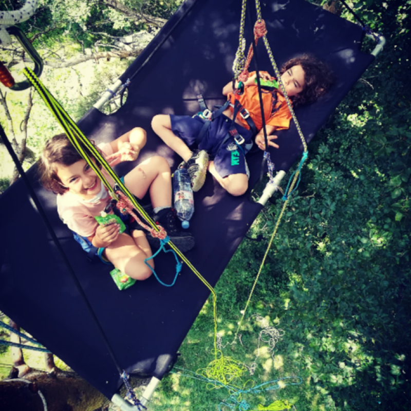 stage d'immersion en forêt et de grimpe d'arbres