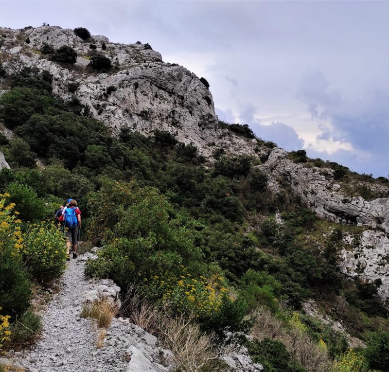 corbières